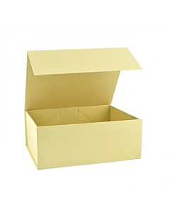 pale-lemon-gift-hamper-box-medium