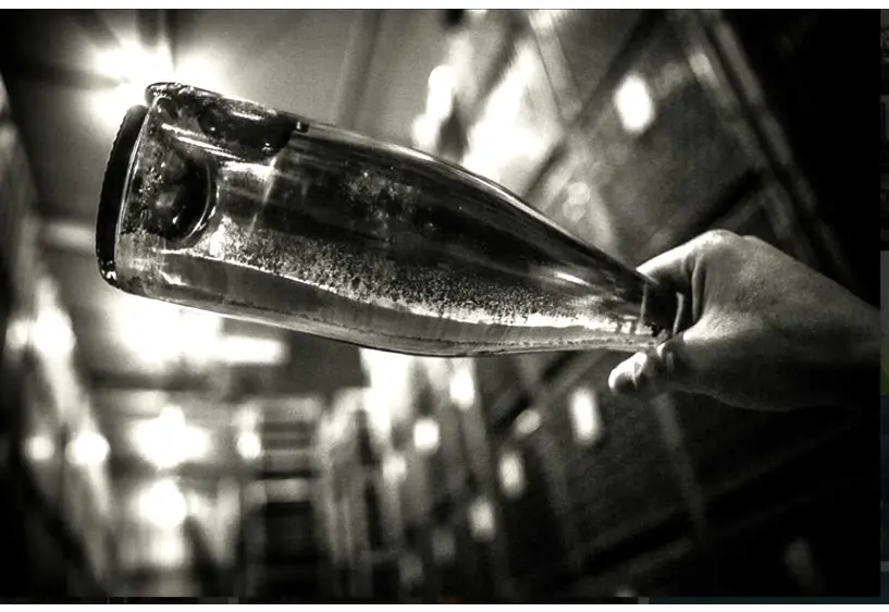champagne-turning></strong></span></p><p> </p><p>This system was developed by Madame Clicquot back in the 1800s! Each day every bottle on the wine racks is given a quarter-turn in order to unsettle and rotate the sediment. The sediment on the bottles is called lees - it is a cloudy byproduct of yeast</p></td></tr><tr style=